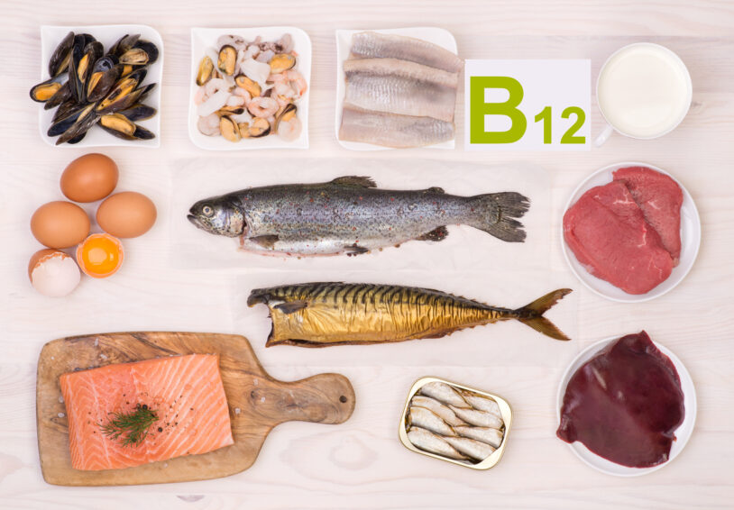Alimentos fontes de vitamina B12